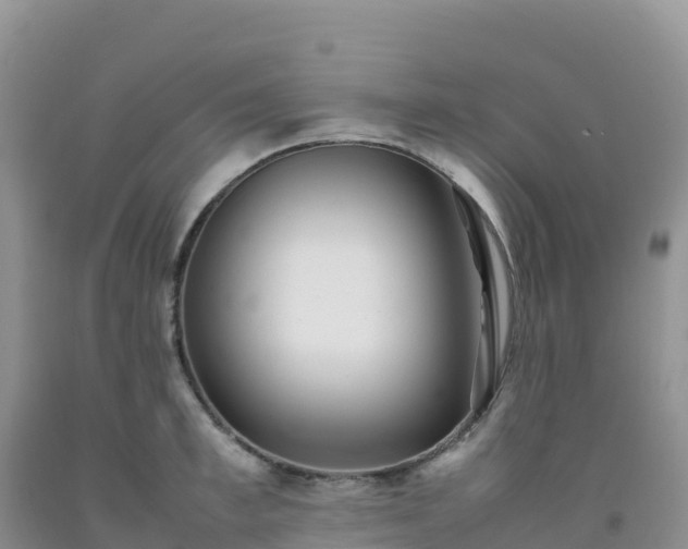 X0000092090997200709191242