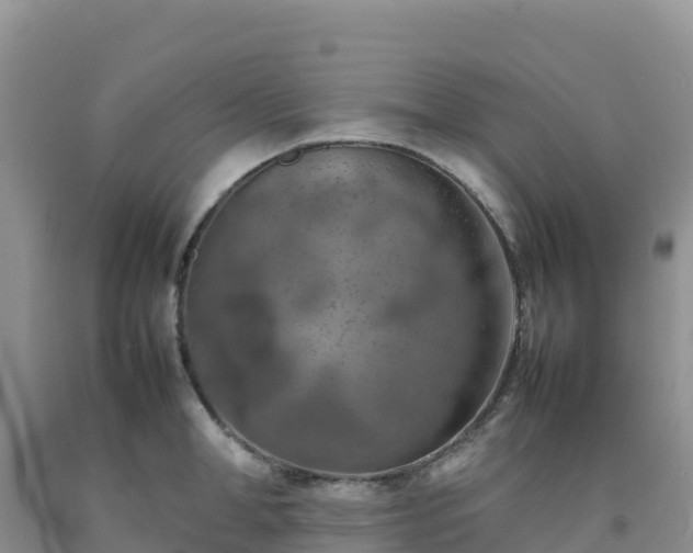X0000092090998200709191242