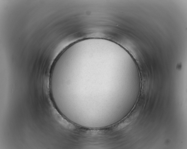 X0000092091000200709191242