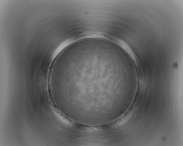 X0000092091002200709191242