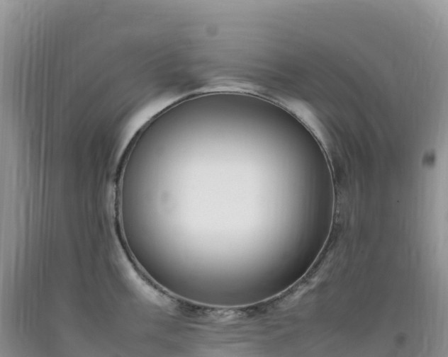 X0000092091003200709191242