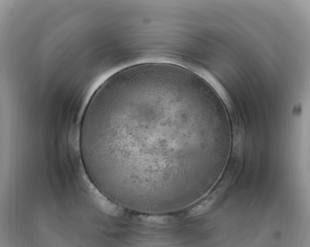 X0000092091004200709191242