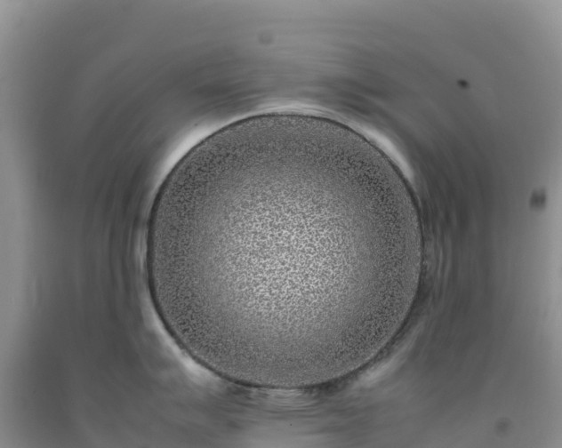 X0000092091007200709191241