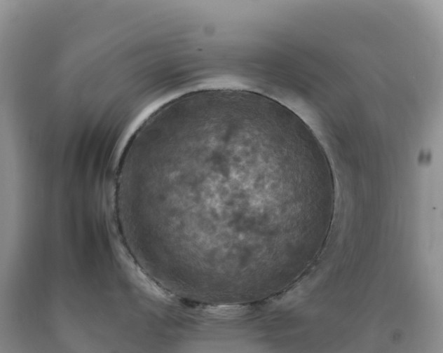 X0000092091008200709191241