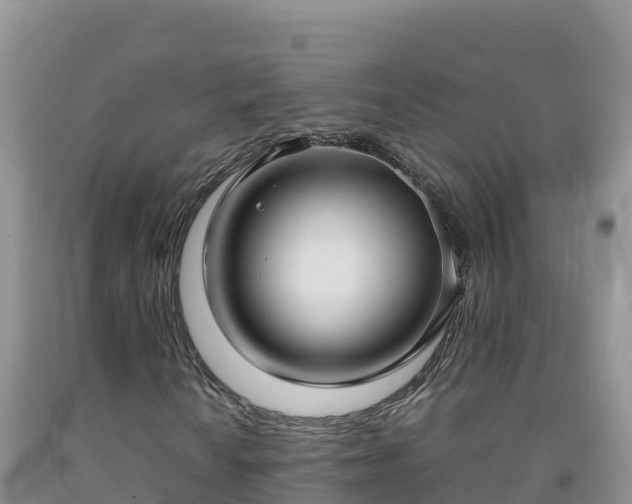 X0000092091010200709191241