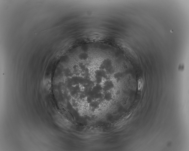 X0000092091011200709191241