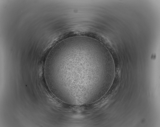 X0000092091012200709191241