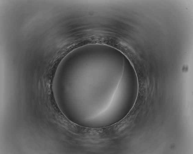 X0000092091013200709191241