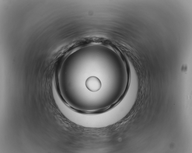 X0000092091014200709191241