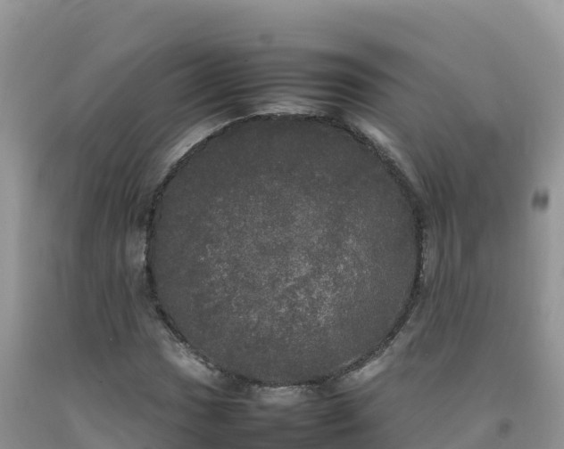X0000092091017200709191241