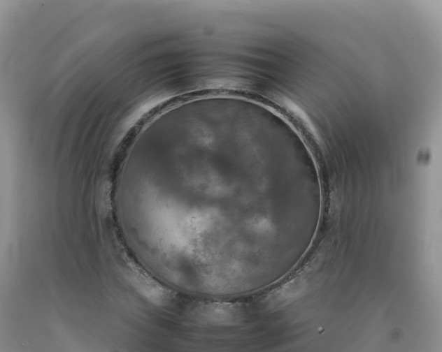 X0000092091019200709191241