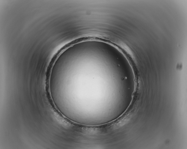 X0000092091020200709191241