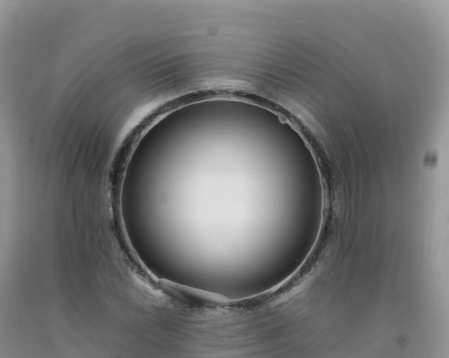 X0000092091022200709191241