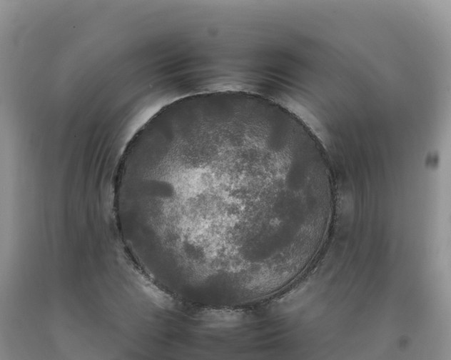 X0000092091023200709191241