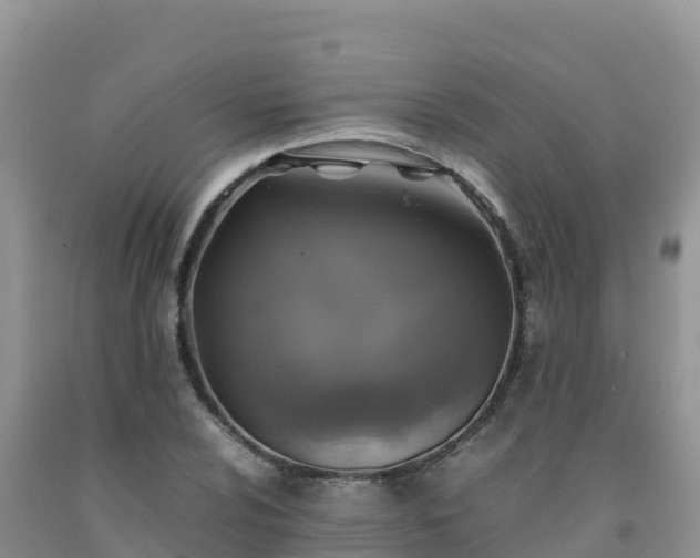 X0000092091024200709191241