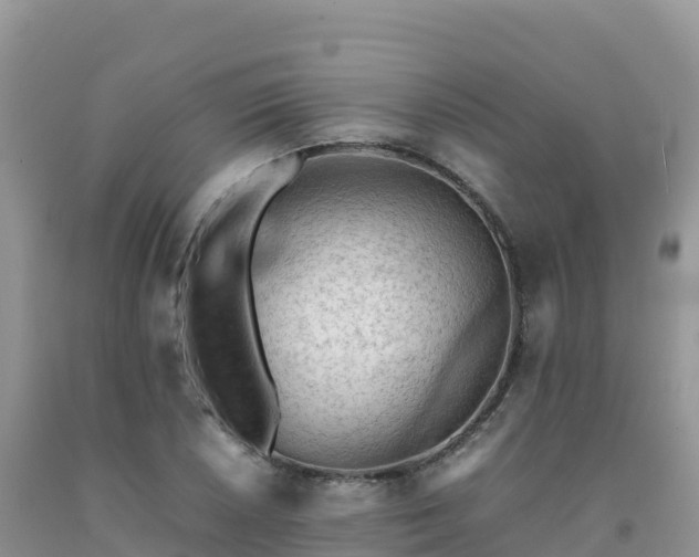 X0000092091026200709191241