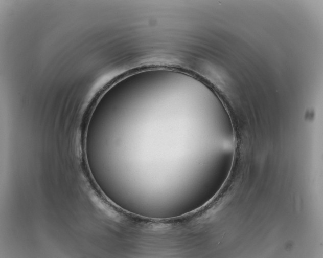X0000092091030200709191241