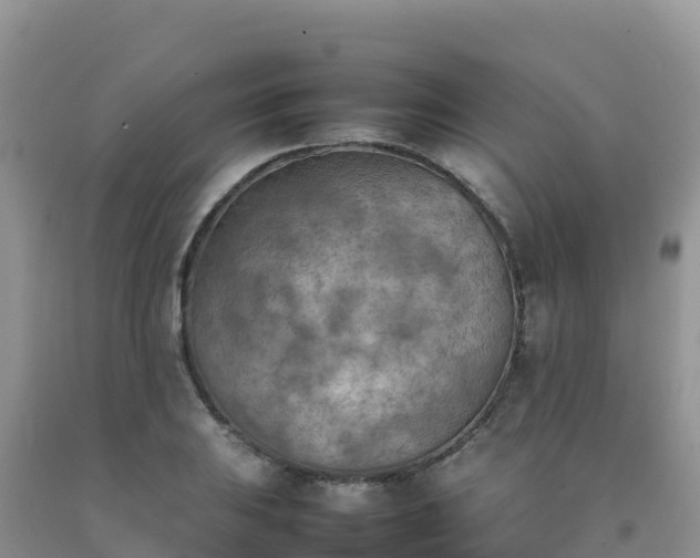X0000092091031200709191241