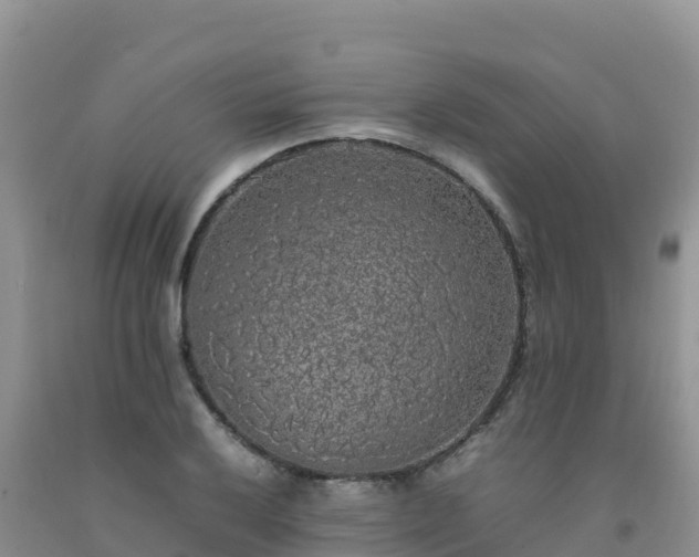 X0000092091032200709191241