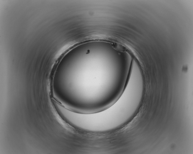 X0000092091034200709191241