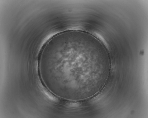 X0000092091035200709191241