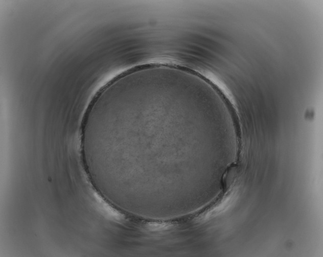 X0000092091037200709191241