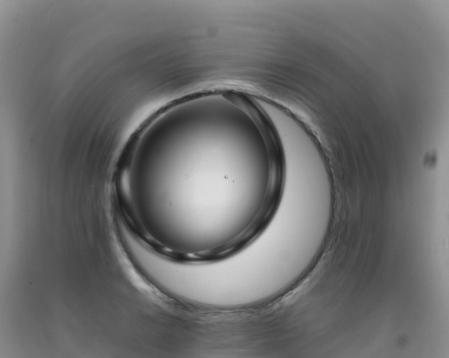 X0000092091038200709191241