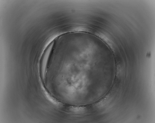 X0000092091039200709191241