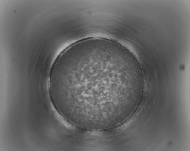 X0000092091040200709191241