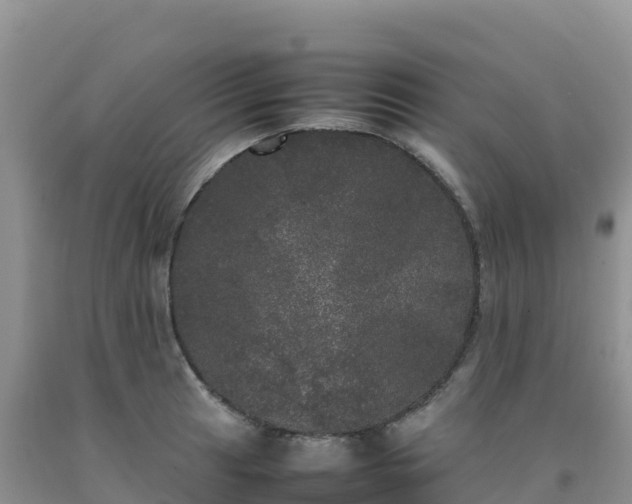 X0000092091041200709191241