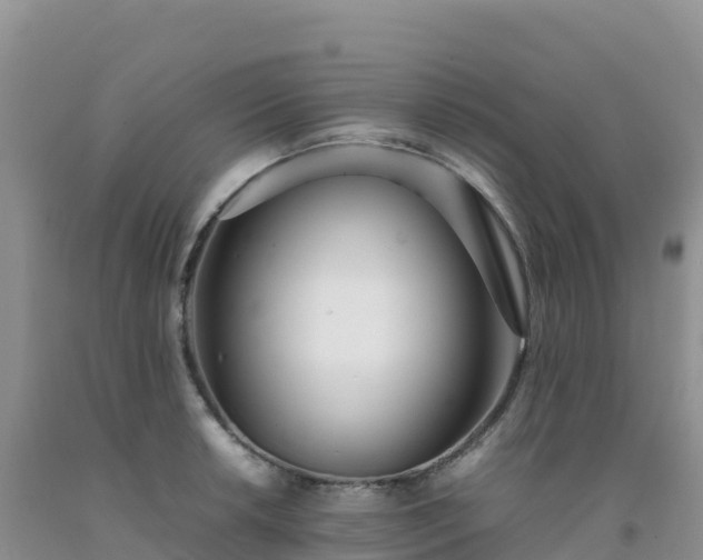 X0000092091042200709191241