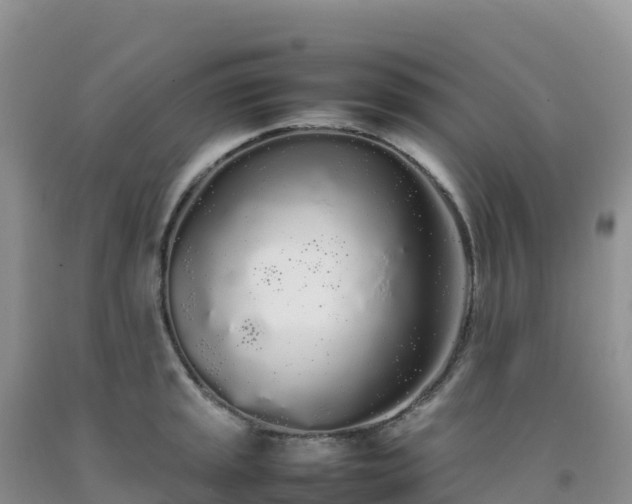 X0000092091045200709191241
