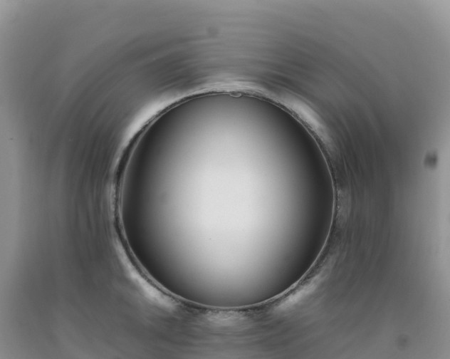 X0000092091046200709191241