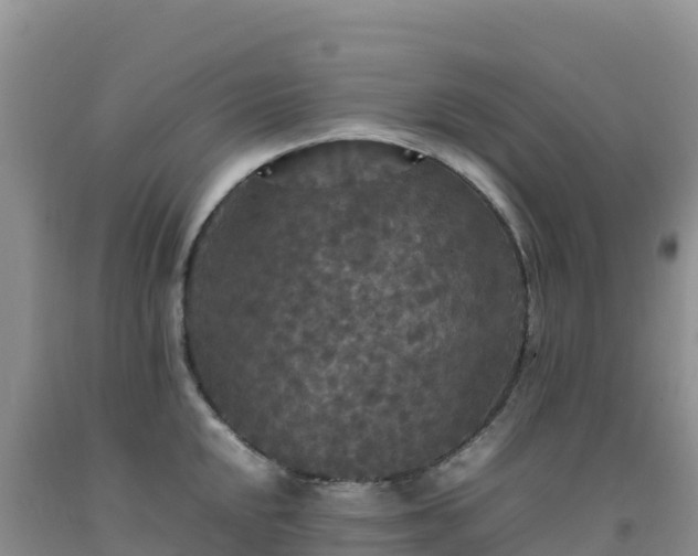 X0000092091048200709191241