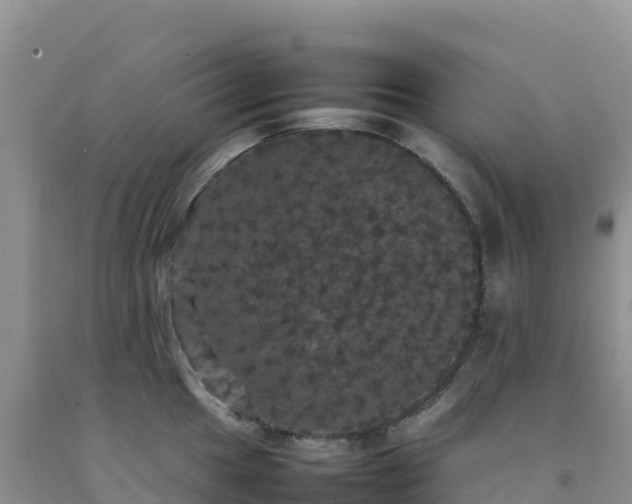X0000092091049200709191241