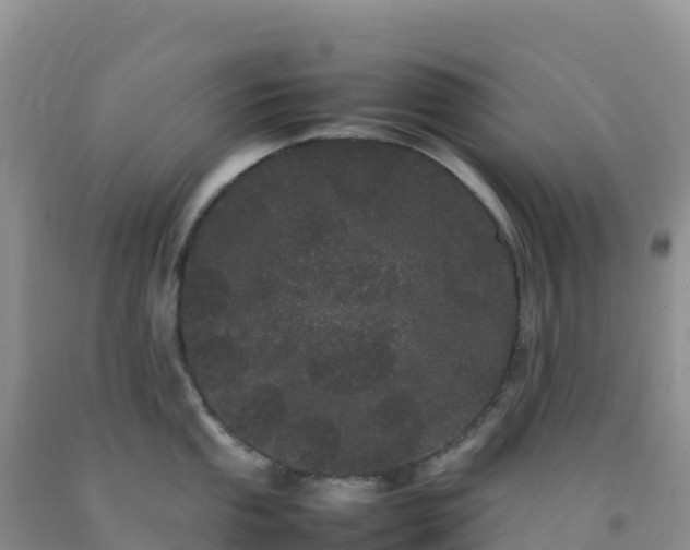 X0000092091053200709191241