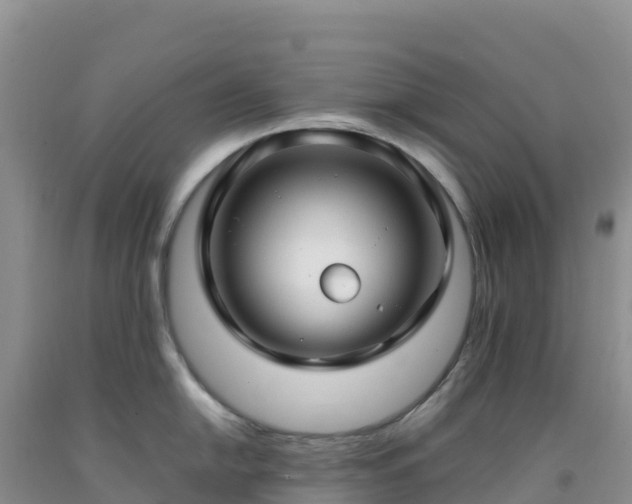 X0000092091054200709191241