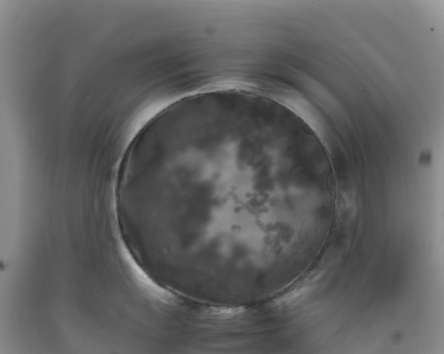 X0000092091055200709191241