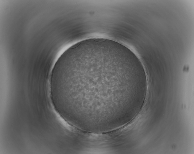 X0000092091056200709191241