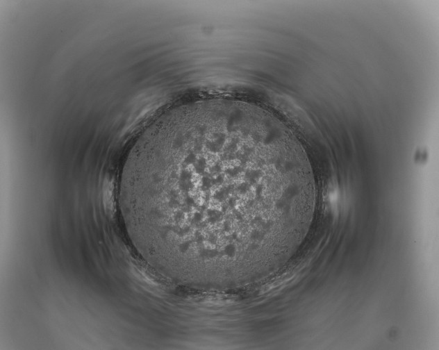 X0000092091060200709191241