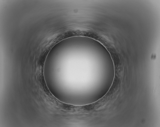 X0000092091061200709191241