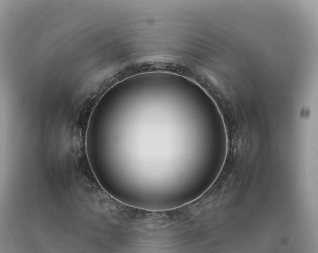 X0000092091062200709191241