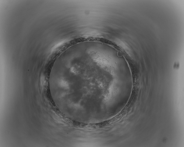 X0000092091063200709191241
