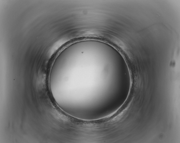 X0000092091066200709191241
