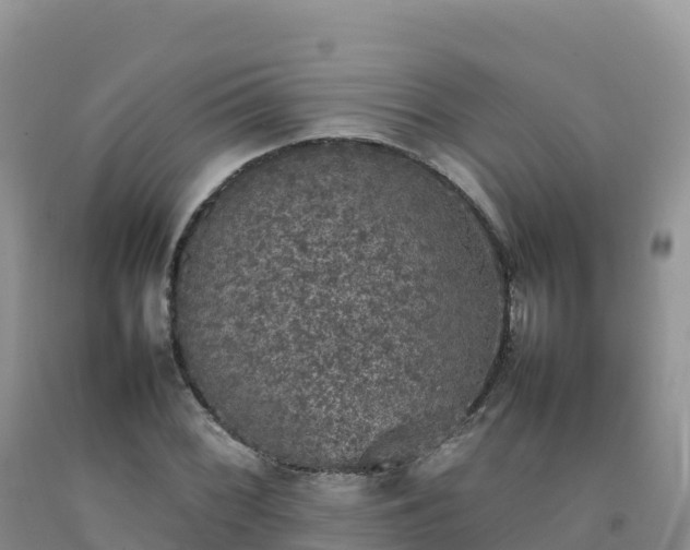 X0000092091068200709191241