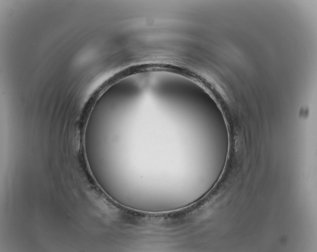 X0000092091069200709191241