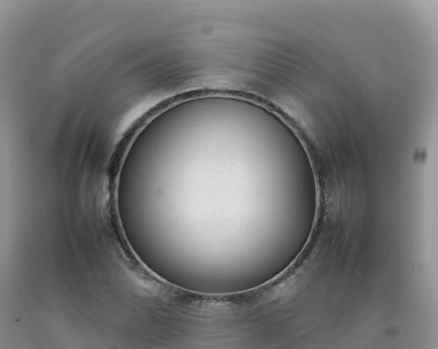 X0000092091070200709191241