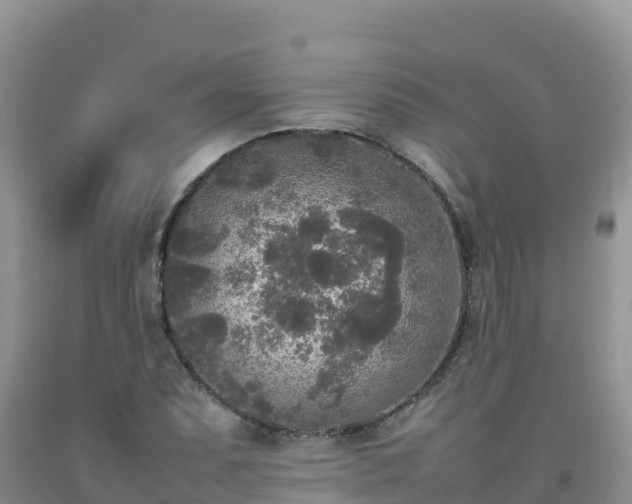 X0000092091071200709191241