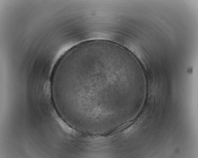X0000092091072200709191241