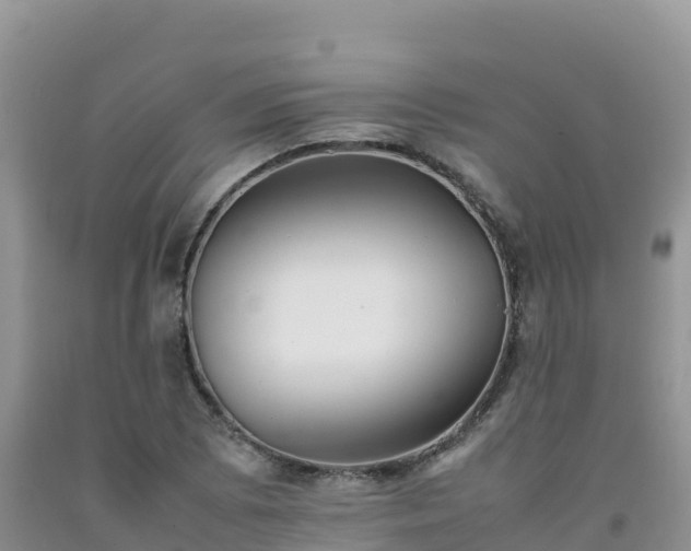 X0000092091073200709191241